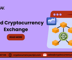 Hybrid Cryptocurrency Exchange