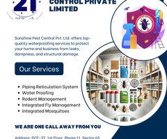 Professional Pest Control Services Safe & Effective Solutions