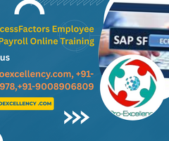 How to  learn SAP SuccessFactors Employee Central Payroll Online Training