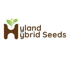 Red chilli seeds | Hyland Hybrid Seeds