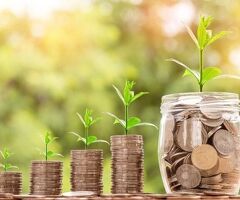 Agriculture Valuer & Appraiser Services in Mumbai | GreenScope
