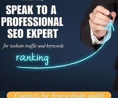 Need SEO Help? Speak to a Professional SEO Expert | Free Consultation!