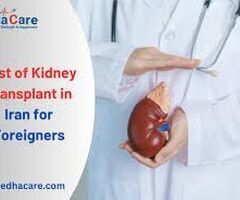 Kidney Transplant Surgery in India – Safe & Affordable with EdhaCare