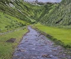 Buy Val Vigezzo Scenic Spot Original Oil Painting