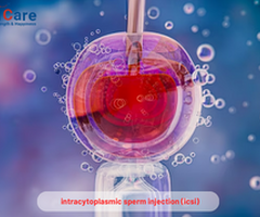Affordable Intracytoplasmic Sperm Injection (ICSI) in India – EdhaCare