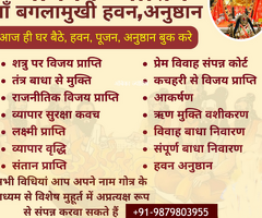 Marriage Delay Astrology Specialist Astrologer - 2