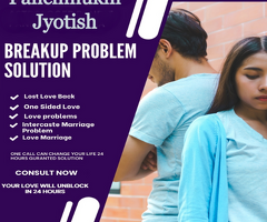 Best Astrologer in USA - Panchmukhi Jyotish - 4