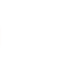 Custom Solutions for Business Data Integration