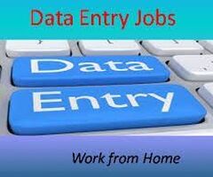 Hospital Entry Form Filling projects available call  7708244092.