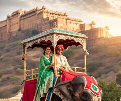 Why Elephant Ride Jaipur is a Must Try Activity for Tourists