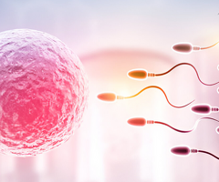 IVF Hospital | NCare IVF Kannur - 2