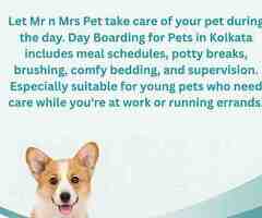 Day Boarding for Pets in Kolkata