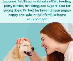 Pet Sitter in Kolkata