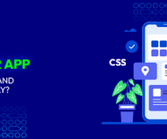 Hire Top Shopify App Developers in India | Build Custom Apps - 3