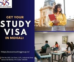 Achieve Your Dreams with Expert Study Visa in Mohali Services - SVS Consulting Group