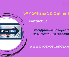 SAP S/4HANA SD Module Online Course with Certification Preparation