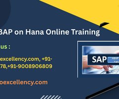 Easy SAP ABAP on HANA Online Course – Proexcellency Solutions