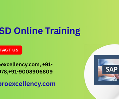 SAP SD Training for Beginners – Proexcellency Solutions (Top of Bangalore)