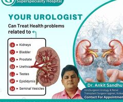 Best Urologist in Yamunanagar for Prostate Issues - Gurdevi Memorial Super Speciality Hospital