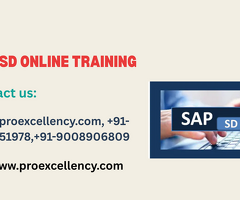 SAP SD Module Course with Placement – Proexcellency Solutions
