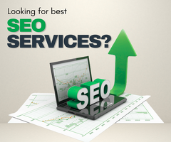 Best SEO Company in Delhi for Small Businesses