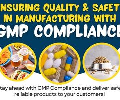 Struggling to Get GMP Certification in Bangalore?