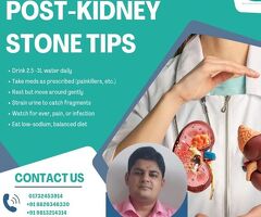 How Can a Urologist in Yamunanagar Haryana Help with Kidney Stones?