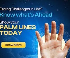 Unlock Accurate Palm Readings Online with Astro Real