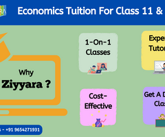 Excel in Class 12 Microeconomics with Ziyyara's Expert Guidance