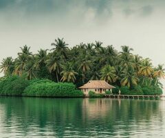 Best Time to Visit Kerala with Family for an Unforgettable Trip