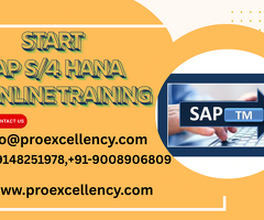 SAP S/4HANA FI Training 2025: Tools & Techniques for Finance Professionals