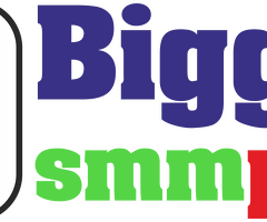 Cheapest SMM Panel-biggestsmmpanel