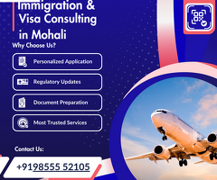 Smooth Visa consulting in Mohali with SVS Consulting Group