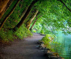 Top Tourist Places to Visit in Kerala in December for a Memorable Trip