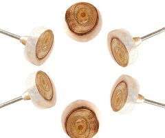 Why Wooden Knobs Are the Perfect Blend of Functionality and Style