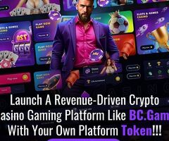 Explore Better ROI by Launching a Profitable BC.Game-Like Casino Gaming Platform