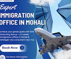 Top Immigration Office in Mohali | SVS Consulting Group