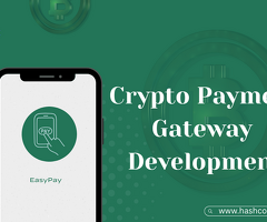 Multi Currency Crypto Payment Gateway Solutions for Global Users