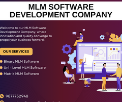 Looking for the Right Binary MLM Software in Punjab to Supercharge Your Network Business?