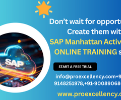 Best Manhattan Active WMS Online Training – Top Choice for Professionals in Chicago (2025)