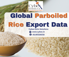 Global Parboiled Rice Export Data – Cybex Exim Solutions