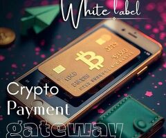 The Payment Hack That’s Making Businesses 3X More Profitable!