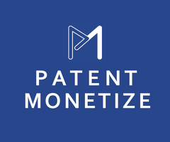 End-to-end patent monetization solutions provider in India and worldwide.
