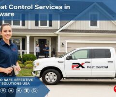 Pest Control Solutions And Services in Usa