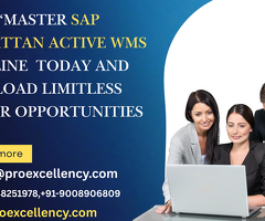 Manhattan Active Warehouse Management Online Training – Build Your Supply Chain Career in India