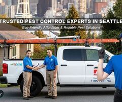 Trusted Pest Control Experts in Seattle