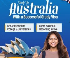 How Do Study Abroad Consultants in Ambala Improve Your Visa Approval Chances?