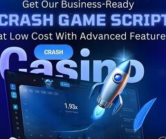 Take the Lead in the Bull Market Era with a Profitable Crash Betting Platform