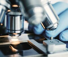 Mosaic Diagnostics Lab Tests – Advanced Functional Health Testing