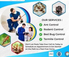 House fly Control in Trichy | Peoplespest